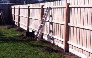 Standard Timber Palings