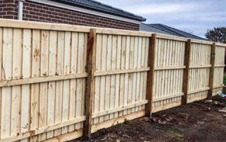 Standard Timber Palings