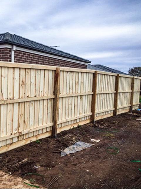Standard Timber Palings