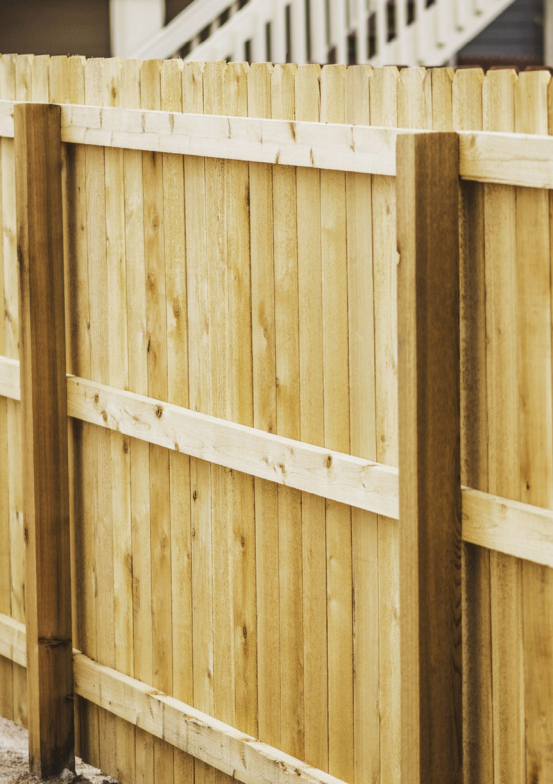 only fence should be visible please edit accordingly